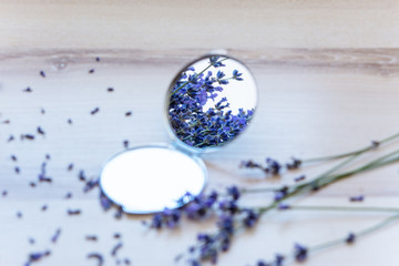 Still life with a twig of lavender