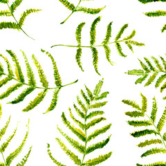 Seamless Realistic Watercolor Greenery Pattern. Hand Drawn Fern Leaves and Branches Print. Summer, Spring Forest Herbs, Plants Texture. Foliage in Vintage Style. Nature Eco Friendly Concept. Textile