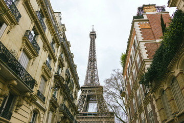 Fototapeta na wymiar view of the Eiffel Tower in the alley