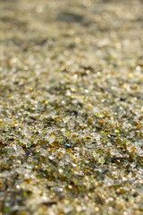 夕日に染まるシーグラス