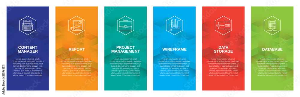 Wall mural software development infographic icon set