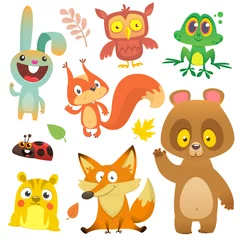 Fotobehang Cartoon forest animal characters. Vector illustration. Big set of cartoon woodland animals illustration. c. Isolated © drawkman
