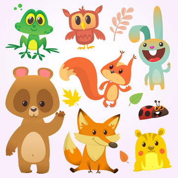 Cartoon forest animal characters. Vector illustration. Big set of cartoon woodland animals illustration. c. Isolated