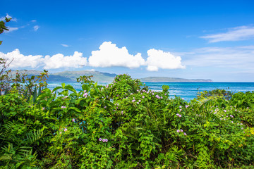 Naklejka premium Dreamlike Caribbean landscape