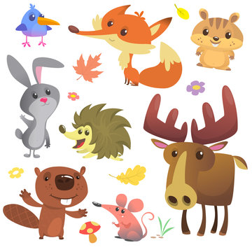 Set of cute forest animals isolated on white background. Cartoon bird, hedgehog, beaver, bunny rabbit, chipmunk, fox, mouse and moose elk. Vector illustration