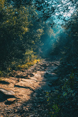 Landscape with a path in the mountain lit