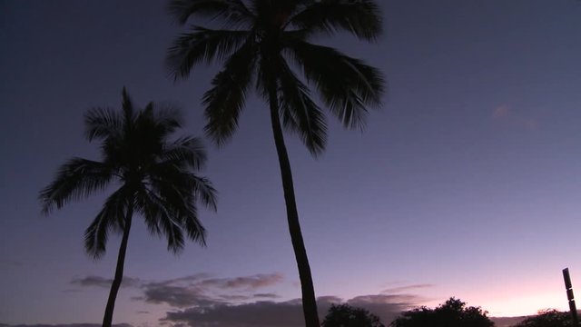 Pan Downward: Night Time at the Beach of Haleiwa