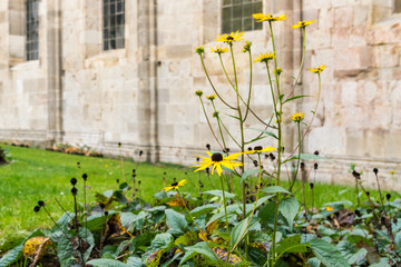 Stift Heiligenkreuz