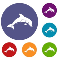 Obraz premium Jumping dolphin icons set in flat circle red, blue and green color for web