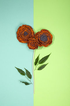 Three brooches of fulled wool in the form of a flower on a colored background