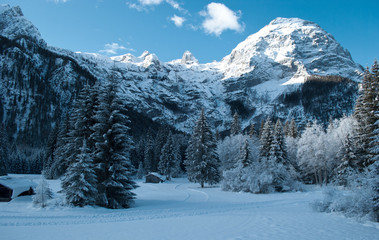 Fototapeta na wymiar Landscapes of winter on the mountains