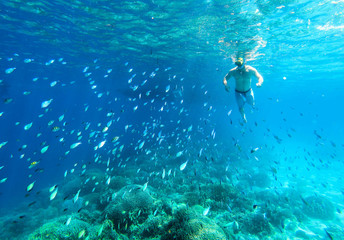 Man surrounded by fish whilst snorkelling in Cebu, Phillipines.