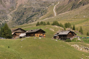 Fototapeta na wymiar Bauernhöfe im Schnalstal in Südtirol