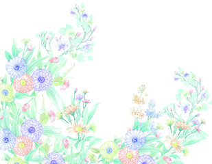 Elegant colorful flower