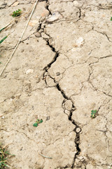 Dry earth, dried out cracked soil from hot temperature change