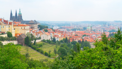 Fototapeta premium Prague views of the city in sunny summer weather.