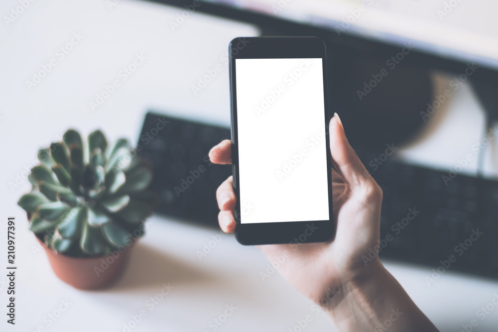 Wall mural mock up. female hand holding a phone with white screen of working business environments.