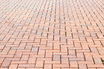 Brick sidewalk texture, herringbone pattern.