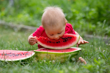  Cute toddler child, baby boy, eating ripe watermelon in garden
