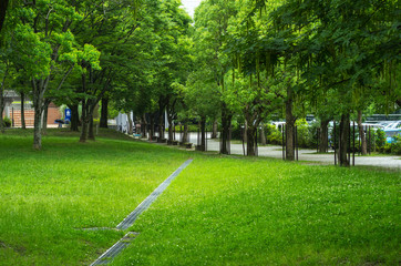 千里中央公園の原っぱ