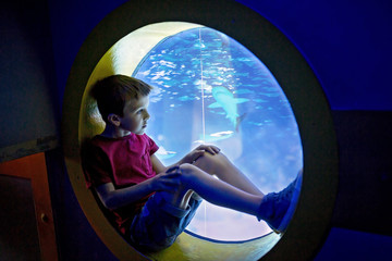 Little boy, kid watching the shoal of fish swimming in oceanarium, children enjoying underwater life
