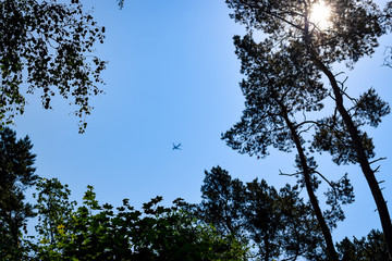 Airplane flying above trees