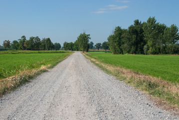 strada di campagna