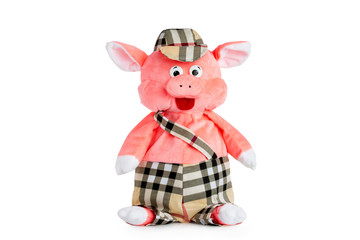 Stuffed toy pig in cap and pants isolated at white background.