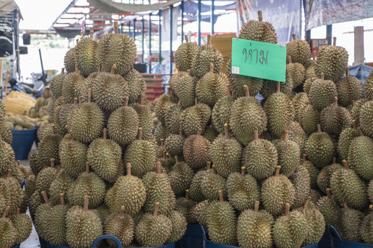 Durain the king of fruits in thailand market.