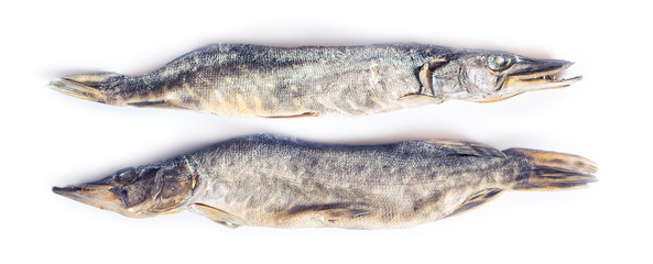 dried pike fish 