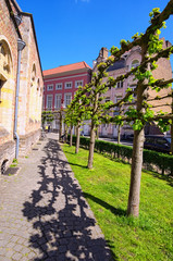 Street with vintage stone houses and unusual trees. Beautiful landscape photo of spring city. Bruges (dutch: Brugge), Belgium