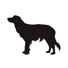 Kooikerhondje, little cager dog vector silhouette. Side view