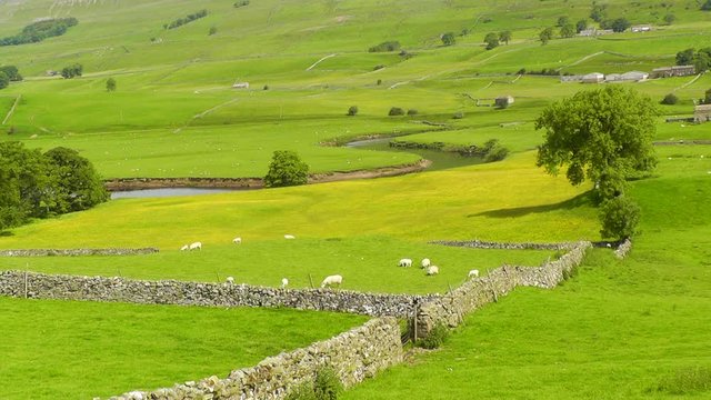 Rural landscape with the River Ure in England's Yorkshire Dales, near the town of Hawes.