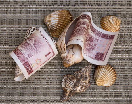 Simulaci&oacute;n de caracolas que expulsan dinero.