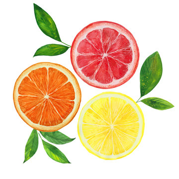lemon,  grapefruit and  orange