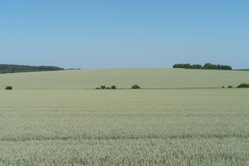 Fototapeta premium Agricultural landscape in Podolia region of Ukraine