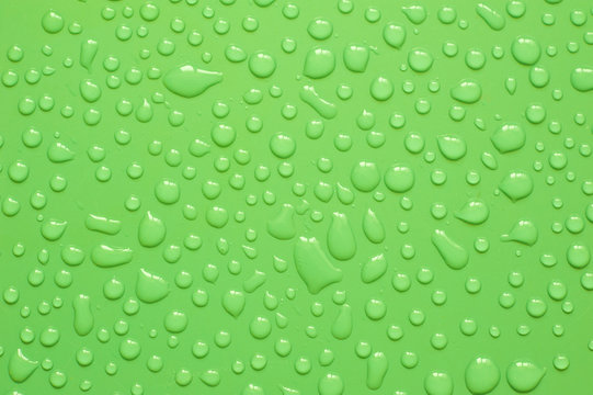 Water droplets on green background.Close up shot of dew drops on green background.