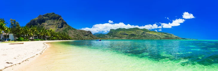 Photo sur Plexiglas Île Nature incroyable de l& 39 île Maurice. Vacances exotiques tropicales