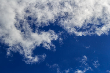Poplar fluff flies against a bright blue sky and white clouds in the sunlight