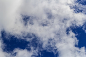 Poplar fluff flies against a bright blue sky and white clouds in the sunlight