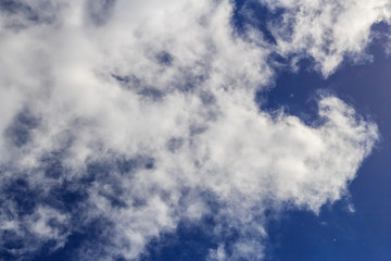 Poplar fluff flies against a bright blue sky and white clouds in the sunlight