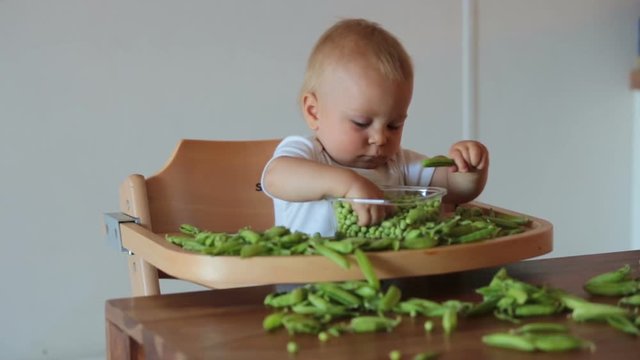 Toddler child, cute boy in white shirt, eating fresh pea at home