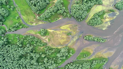 Foto op Plexiglas Aerial landscape -natural river © Piotr Krzeslak