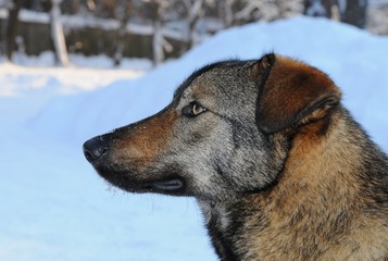 Tschernobyl im Winter 2018 © Antje