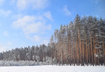 Tschernobyl im Winter 2018 © Antje