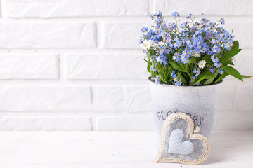 Floral background - blue forget-me-nots or myosotis flowers   in grey bucket and decorative heart