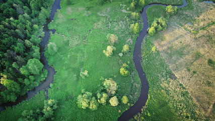 Aerial view from drone- river in the forest