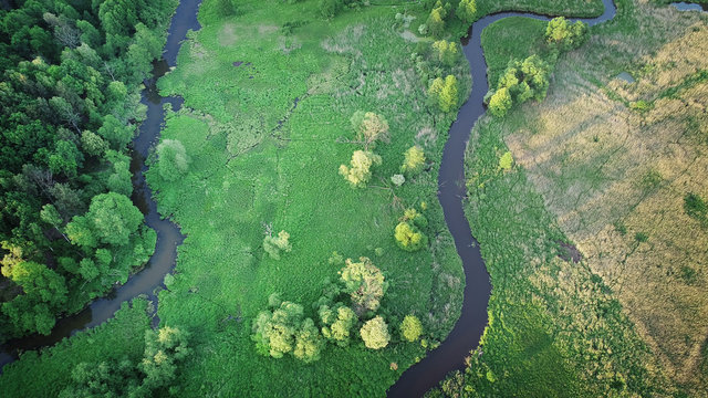Aerial view from drone- river in the forest