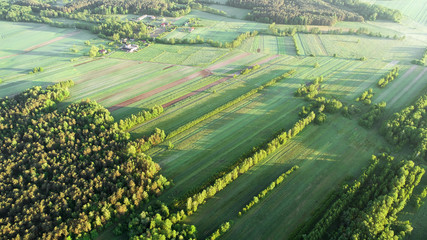 Aerial landscape - spring fields and forests