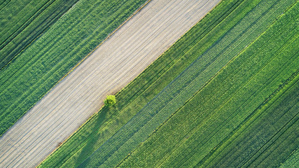 Aerial landscape - spring fields